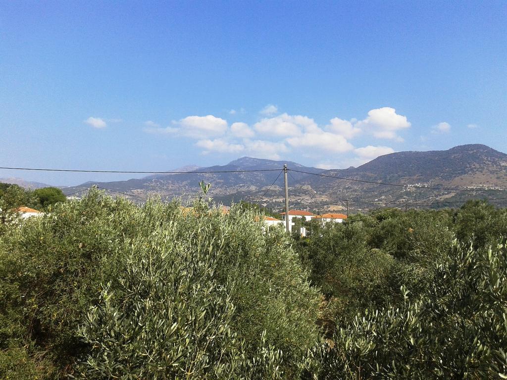 פטרה Villa Marianthi מראה חיצוני תמונה
